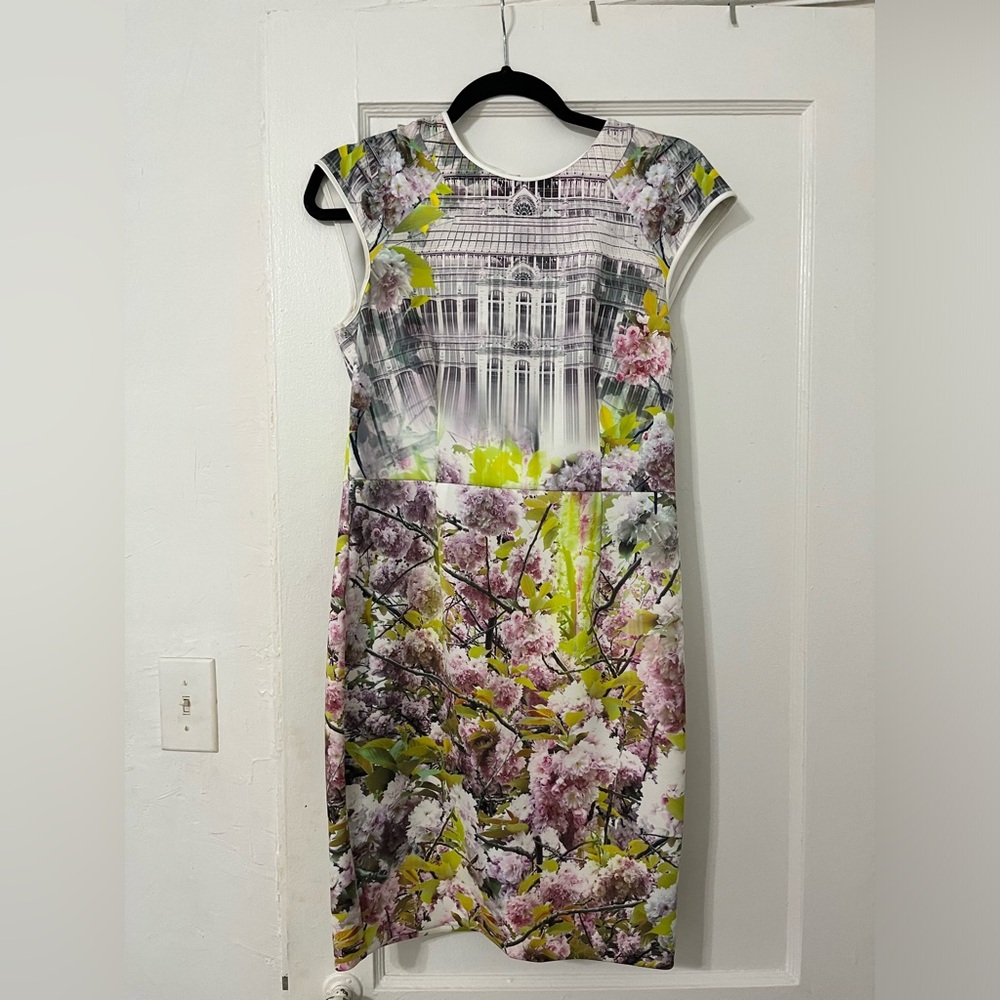 Ted Baker Pancha Window Blossom Fitted Dress